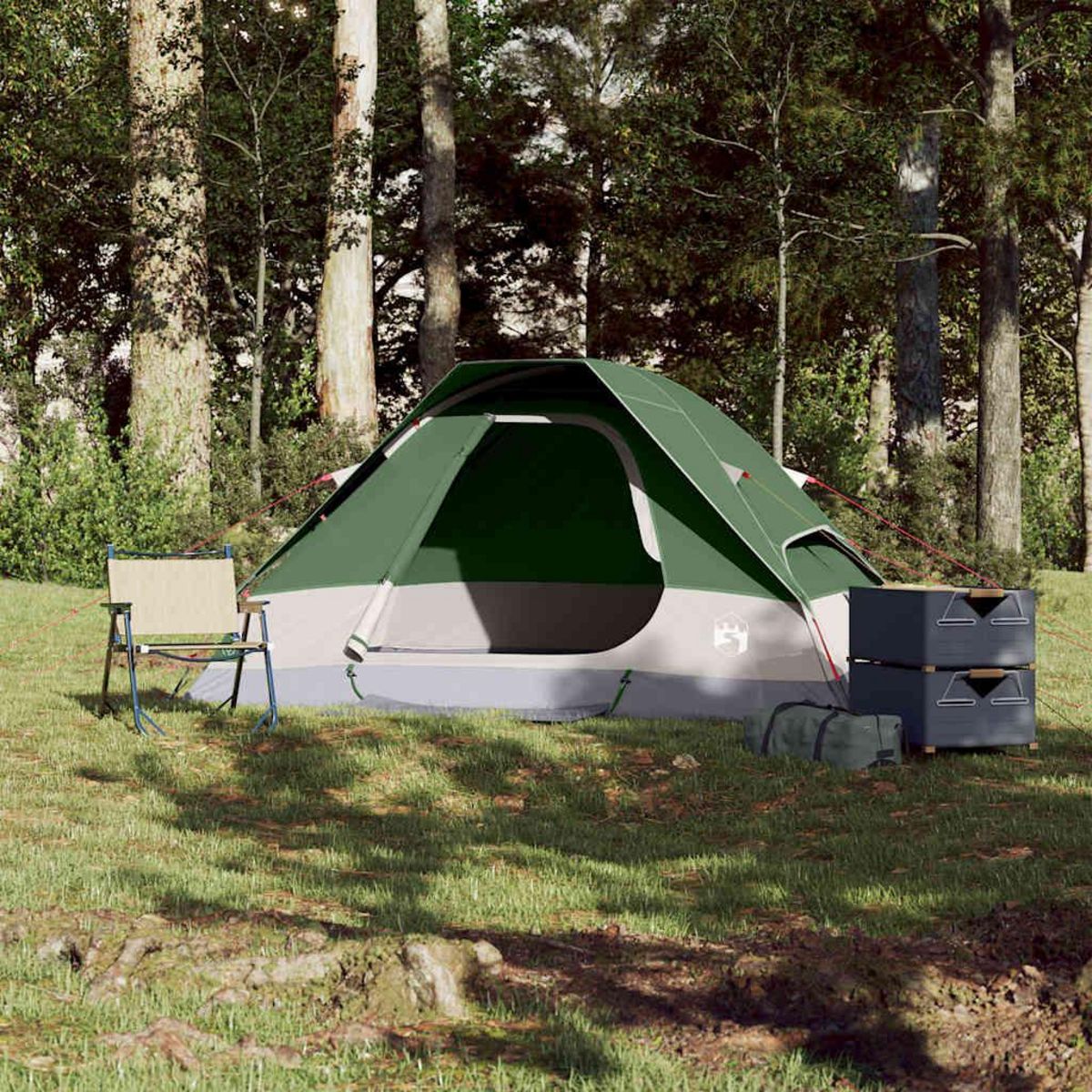 VIDAXL Tente de camping a dome 2 personne vert impermeable