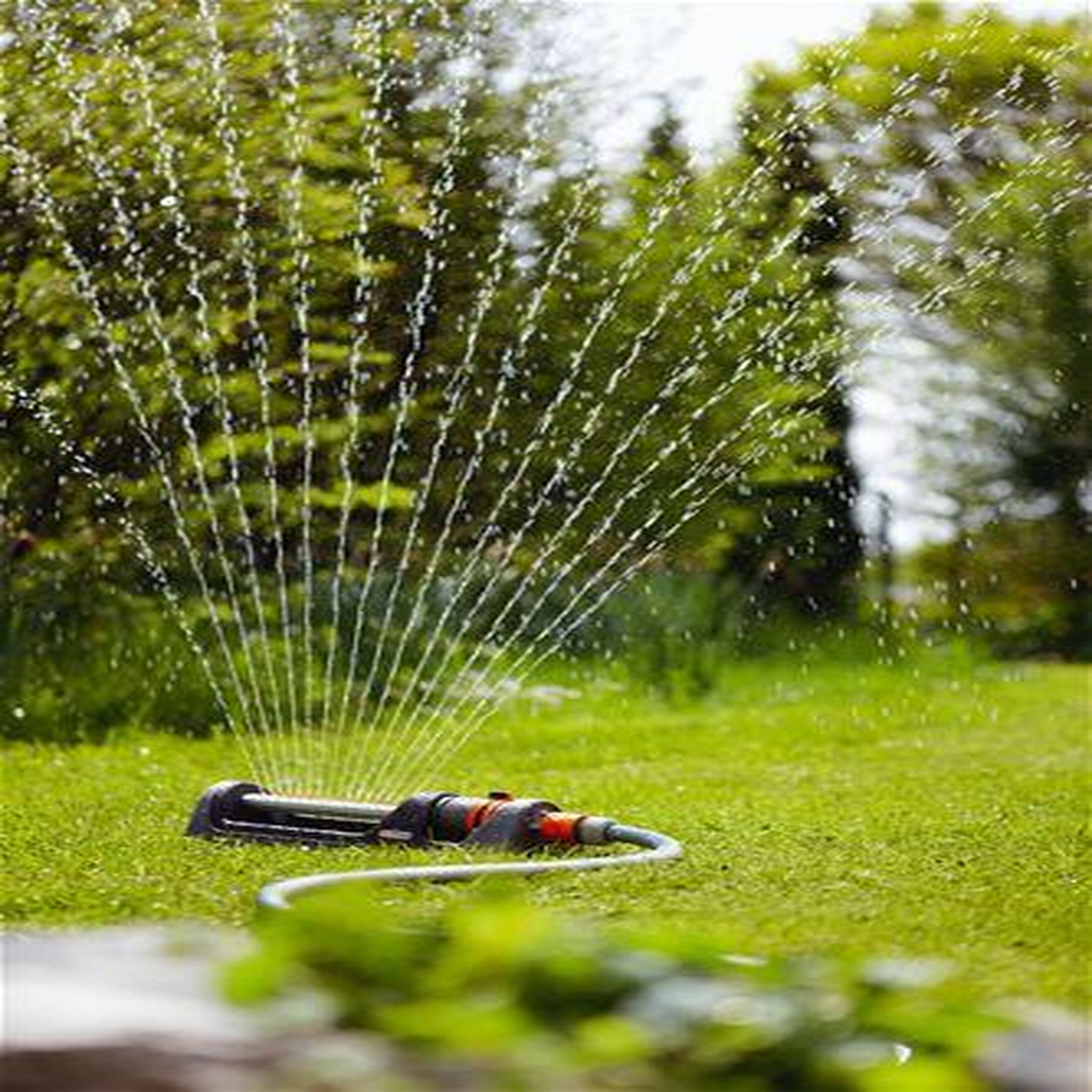 Gardena Pompe immergée de forage 5500/5 inox Premium