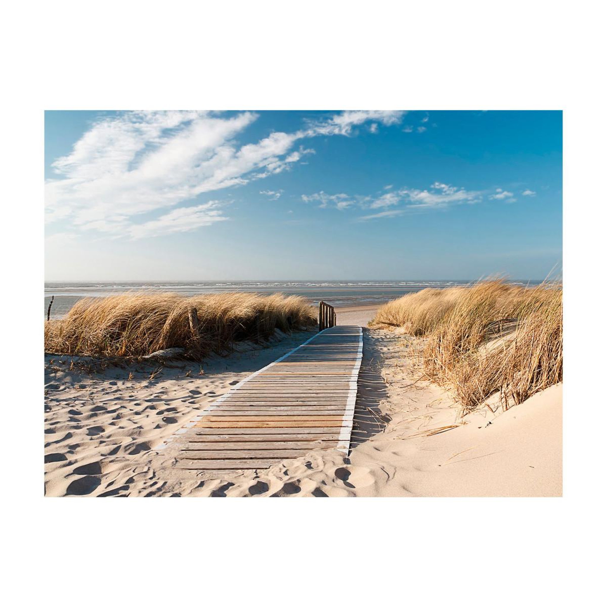 Voir la diapositive 2 : Paris Prix Papier peint  plage mer du nord langeoog