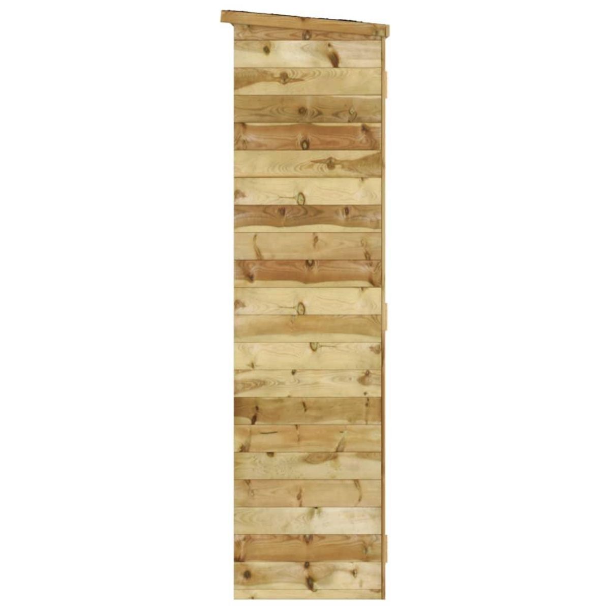 VIDAXL Abri a outils de jardin 163x50x171 cm Bois de pin solide