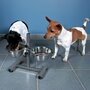 Trixie TRIXIE Support reglable de bol pour chiens 5,6 L 24 cm