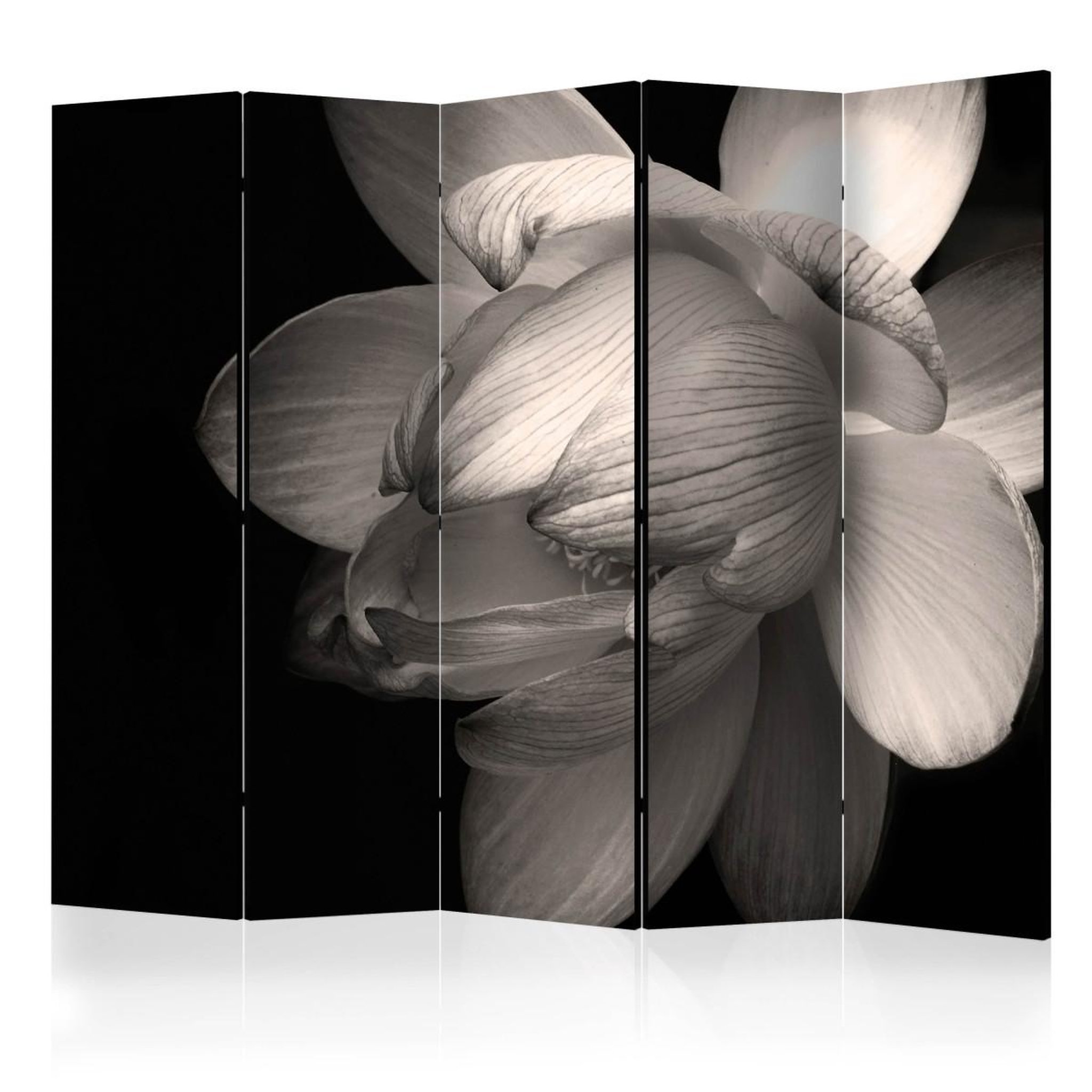 Paris Prix Paravent 5 volets  lotus flower  172x225cm