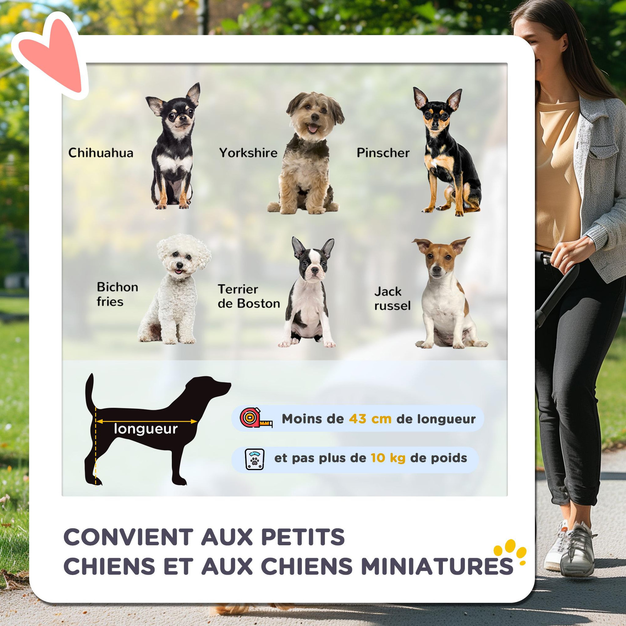 Voir la diapositive 5 : PAWHUT Poussette buggy pliable chien chat panier et sac de rangement attaches sécurité housse réglable poignée réglable acier Oxford beige