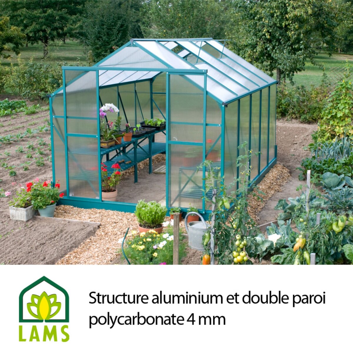 Serre de jardin Polycarbonate / 8,93 m²