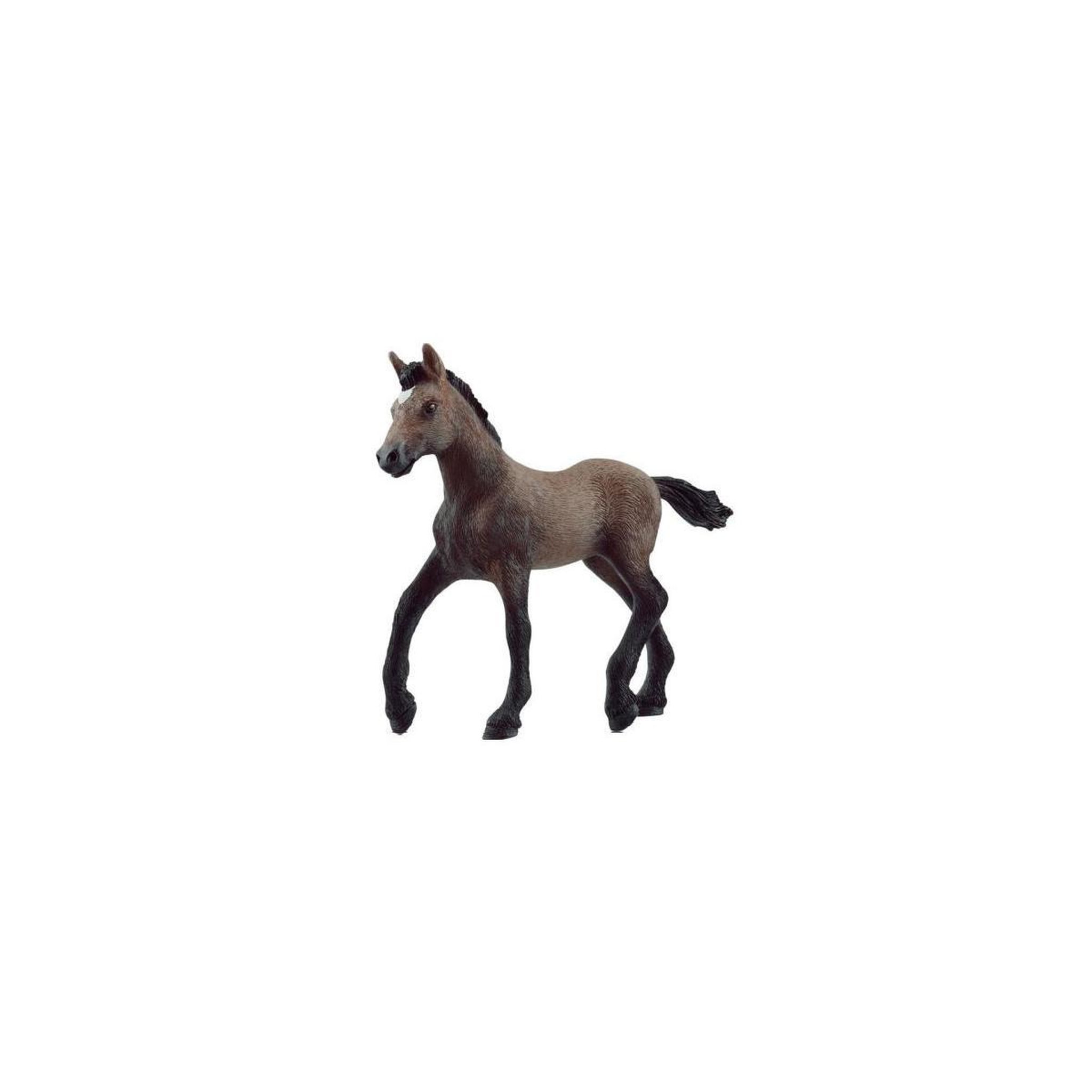 Voir la diapositive 3 : Schleich 13954 Poulain paso peruvien