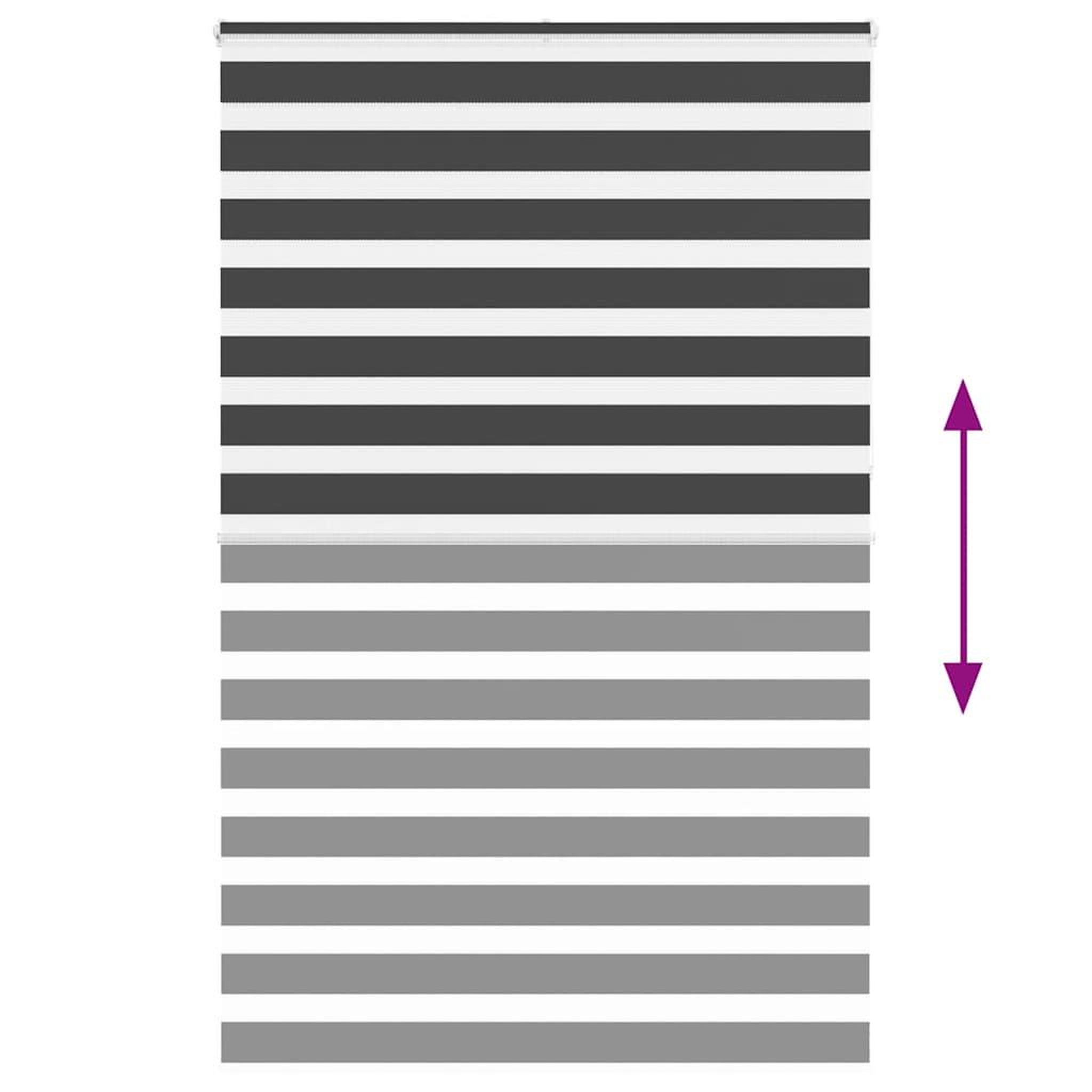 Voir la diapositive 5 : VIDAXL Store zebre noir 150x230 cm largeur du tissu 145,9 cm polyester