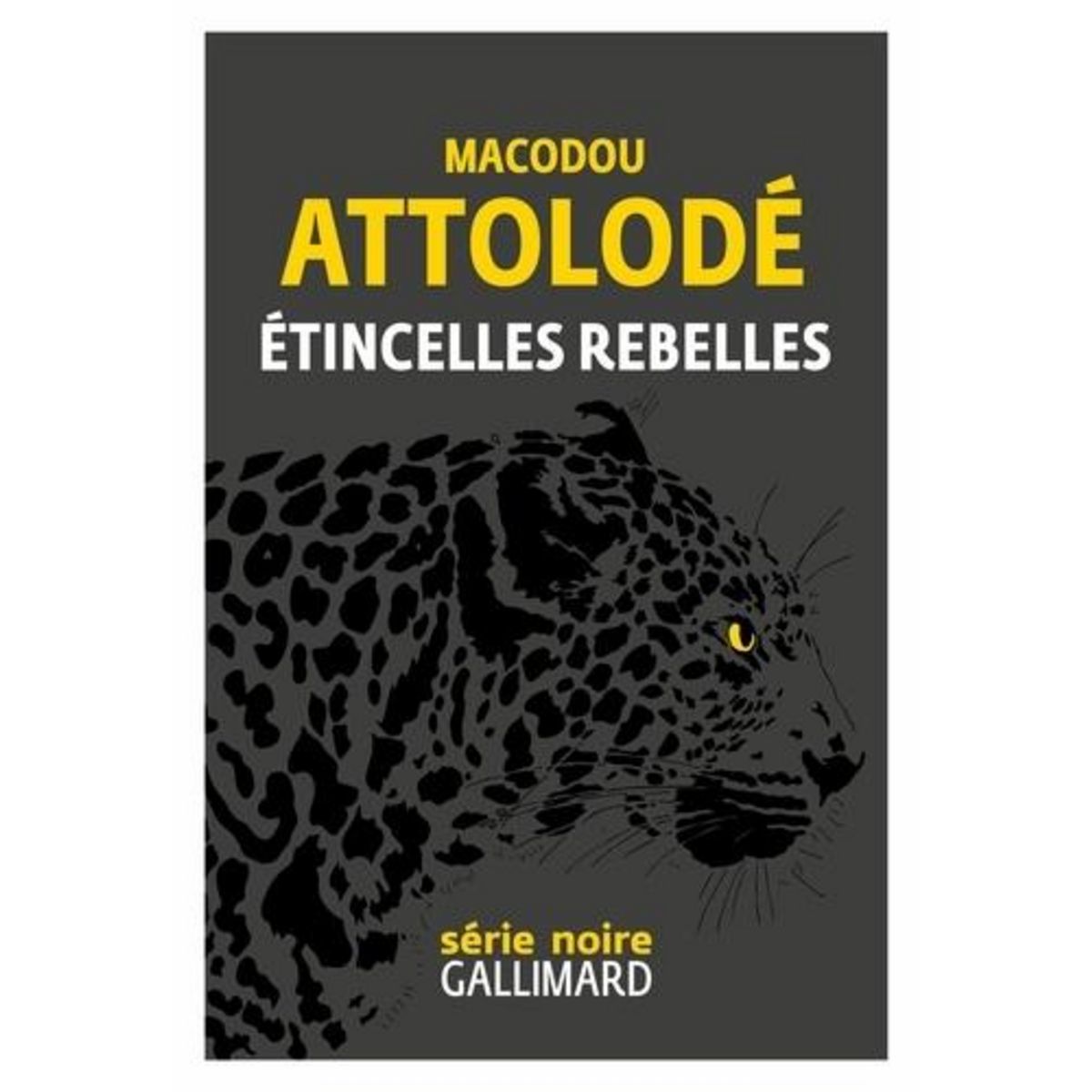 ETINCELLES REBELLES, Attolodé Macodou