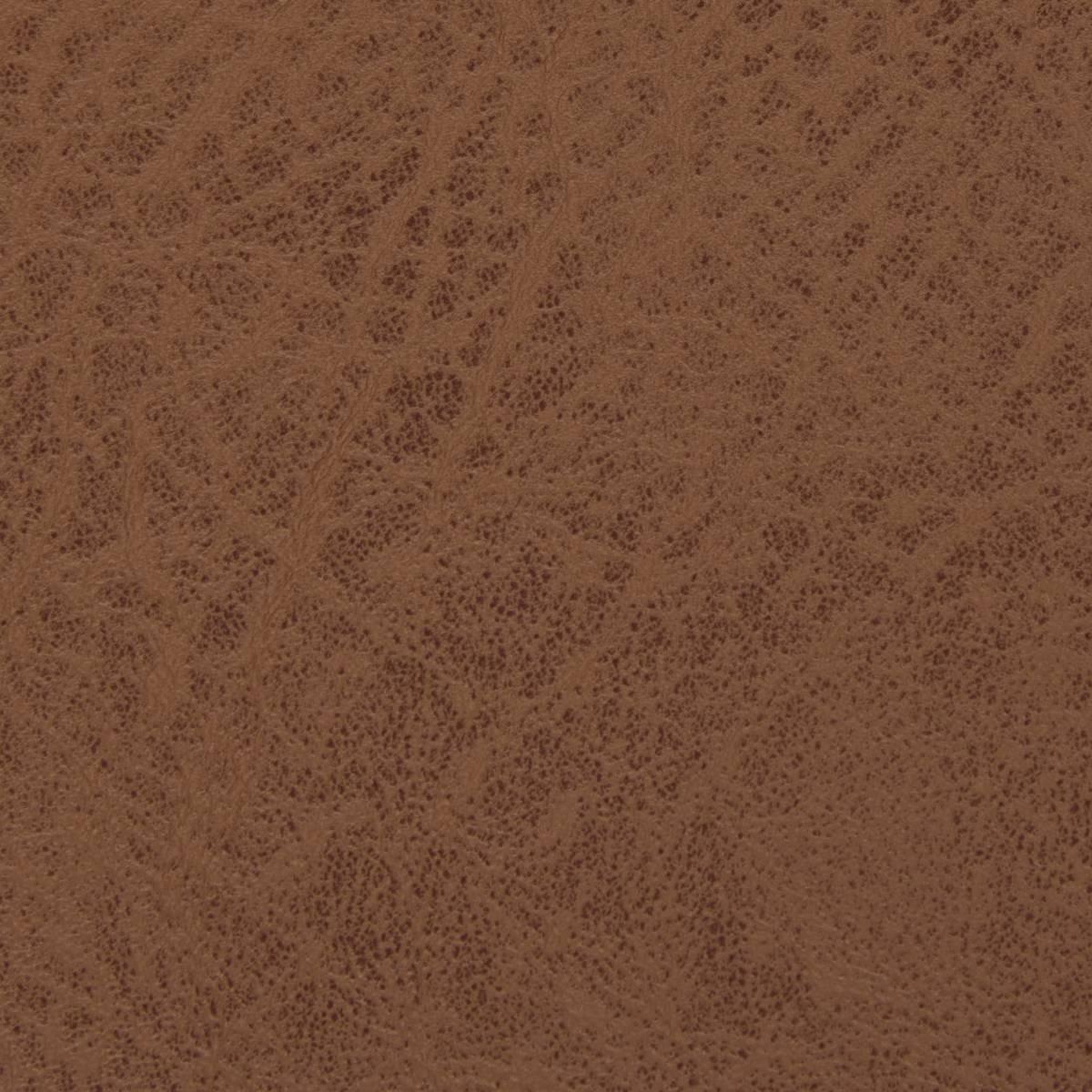 Voir la diapositive 4 : SECRET DE GOURMET Set de Table Rectangulaire  Glenn  30x45cm Camel