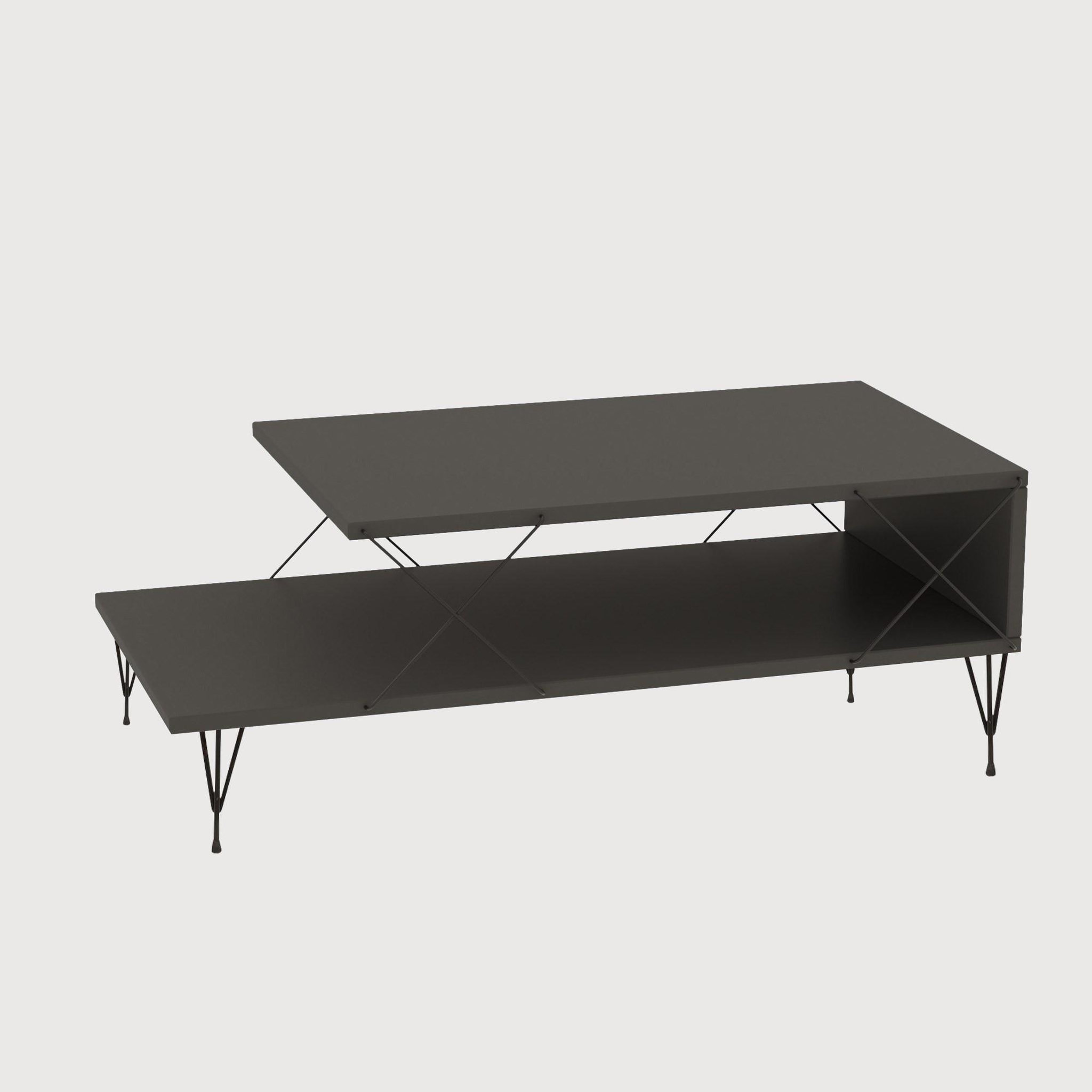 Habitat et Jardin Table basse en bois  Loire  100 x 50 x 40 cm - Anthracite