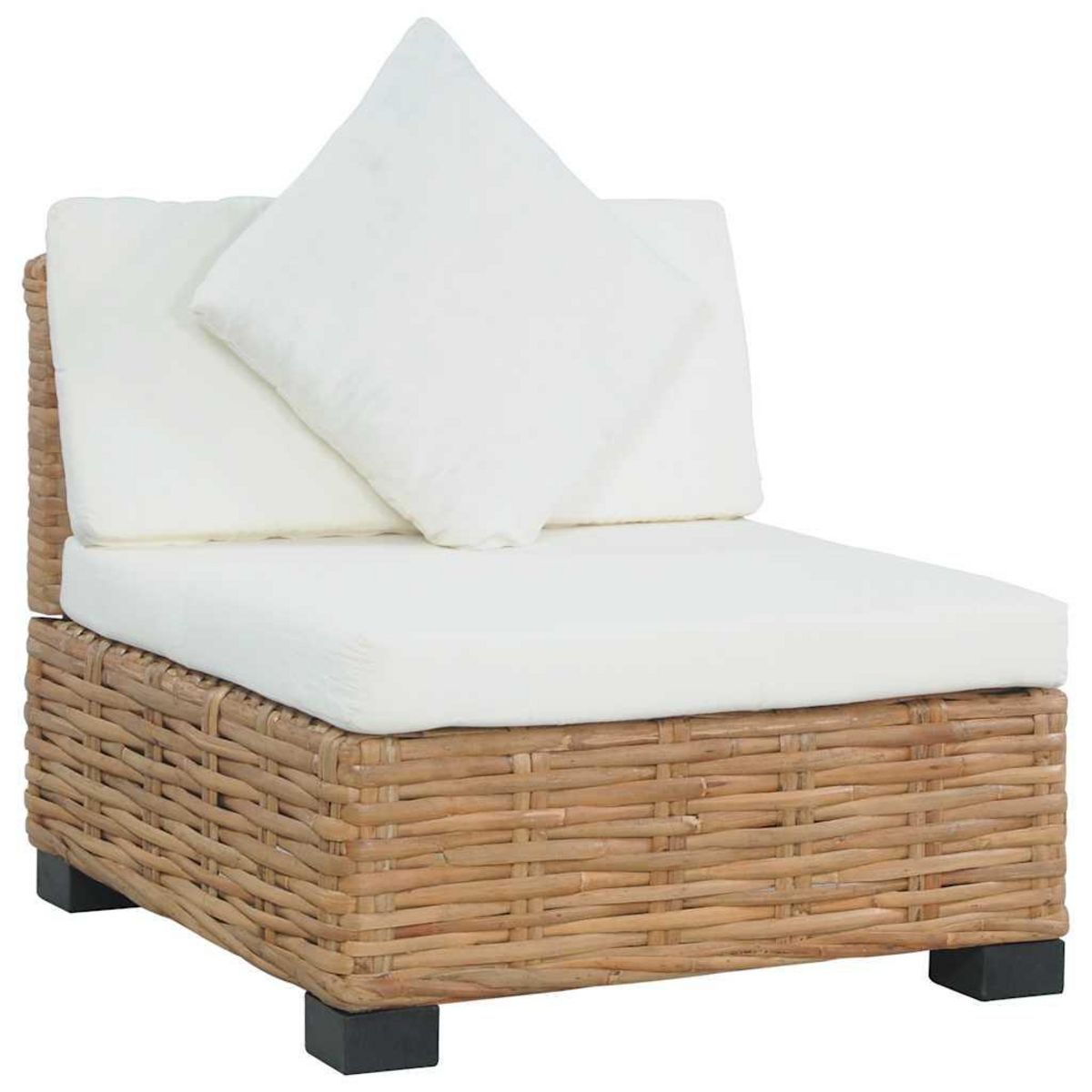 VIDAXL Canape sans accoudoirs avec coussins Rotin naturel