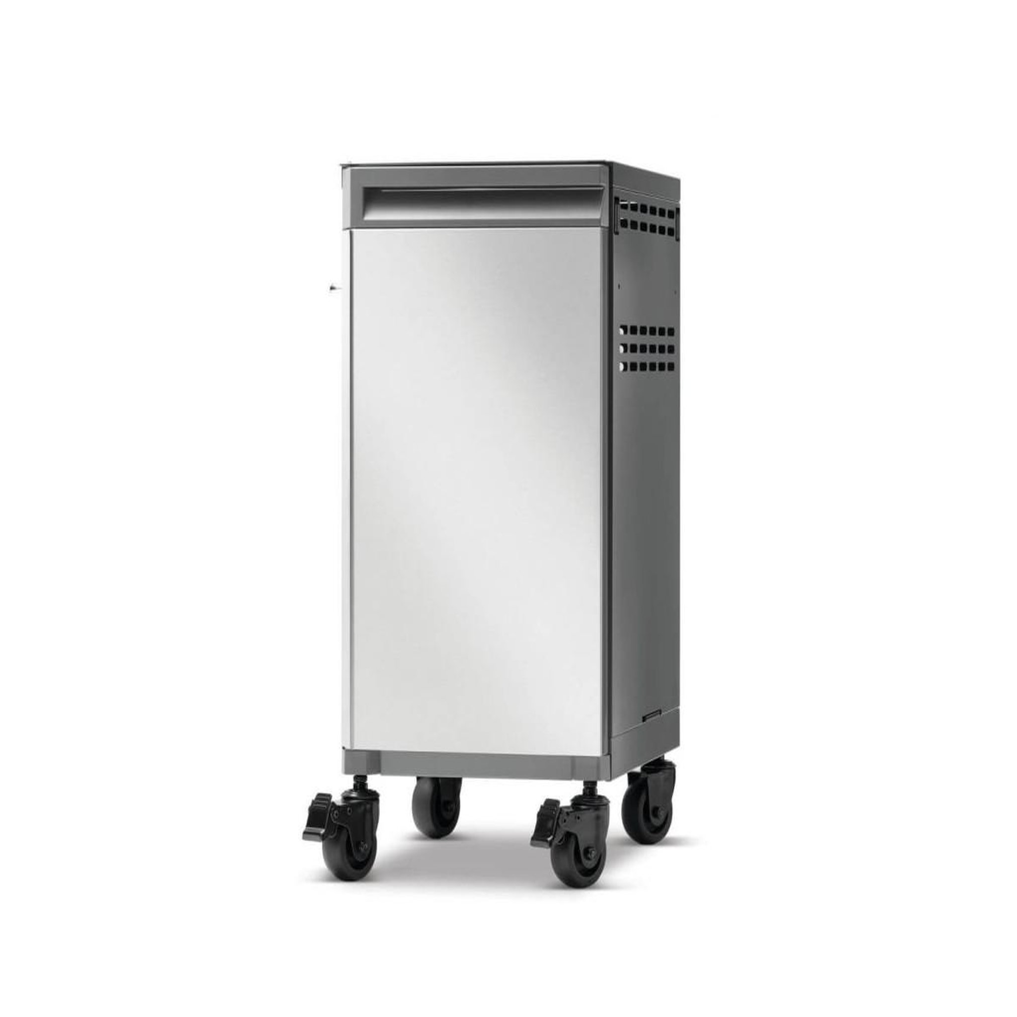 Voir la diapositive 6 : NAPOLEON 2 meubles de rangement sous la tablette bbq prestige inox - napoléon