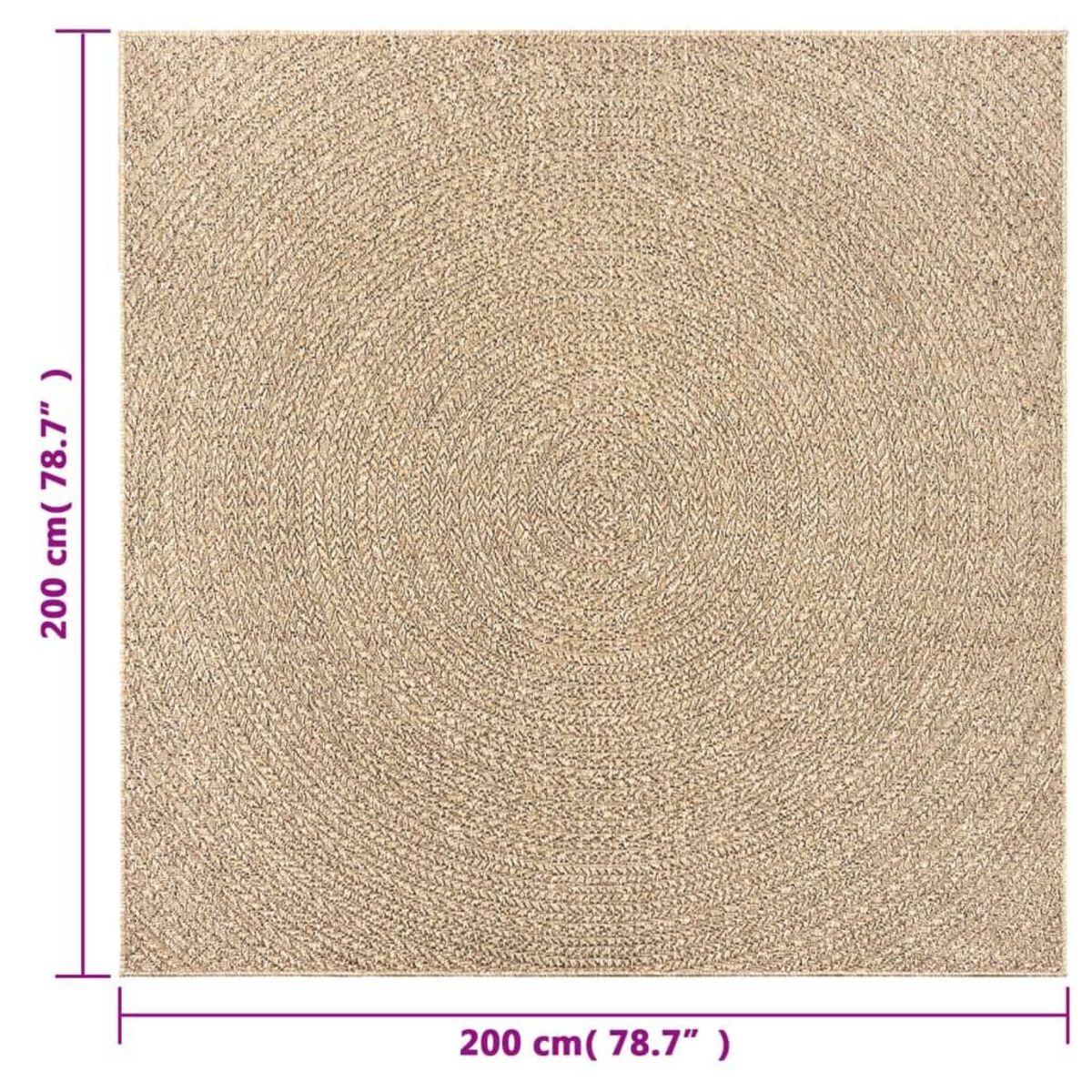 VIDAXL Tapis ZIZUR 200x200 cm aspect de jute interieur et exterieur