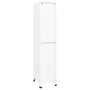 Voir la diapositive 4 : VIDAXL Armoire a casiers Blanc 38x45x180 cm Acier
