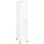 Voir la diapositive 4 : VIDAXL Armoire a casiers Blanc 38x45x180 cm Acier