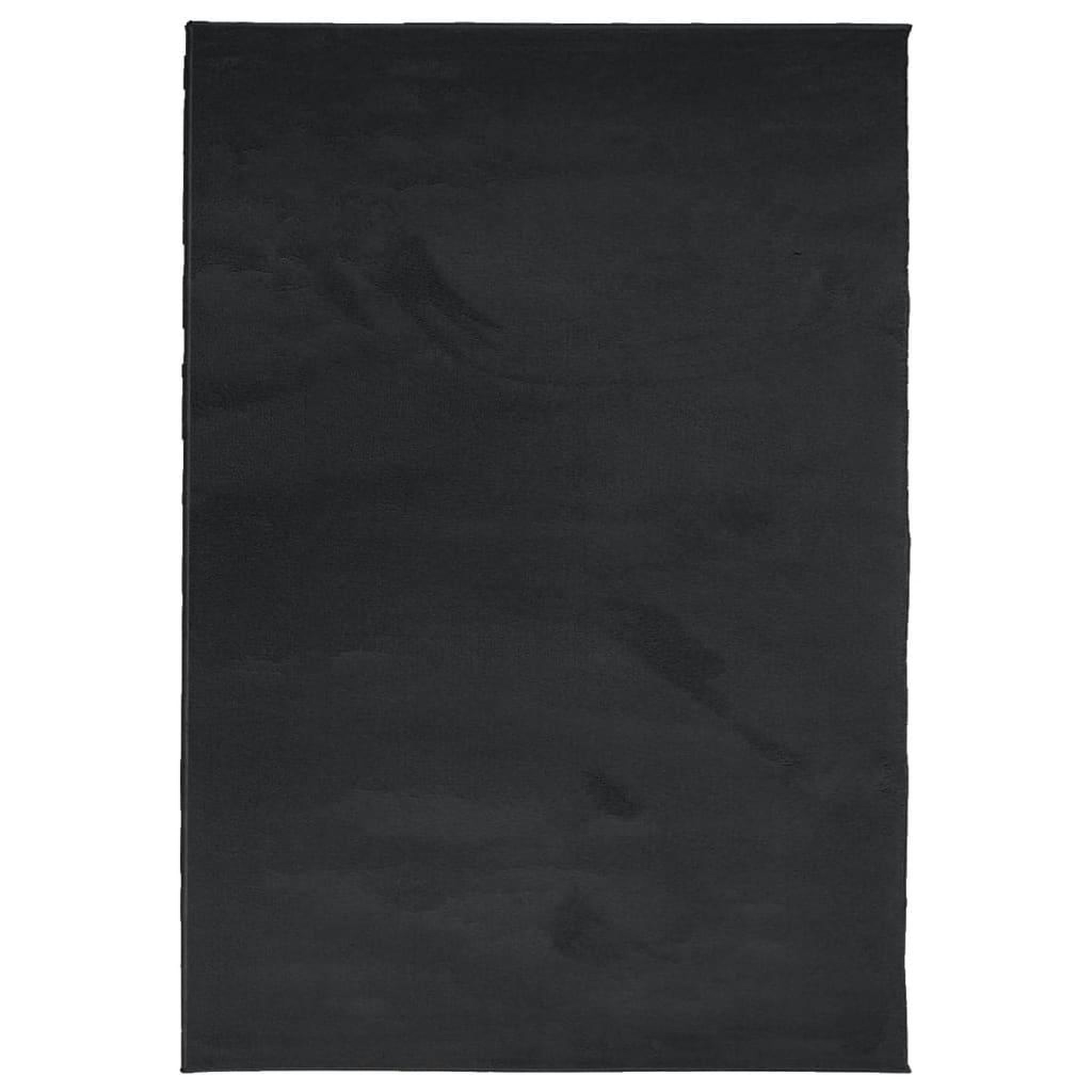Voir la diapositive 2 : VIDAXL Tapis OVIEDO a poils courts noir 200x280 cm