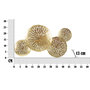 Voir la diapositive 5 : Paris Prix Lampe Murale Design  Dishi  47cm Or