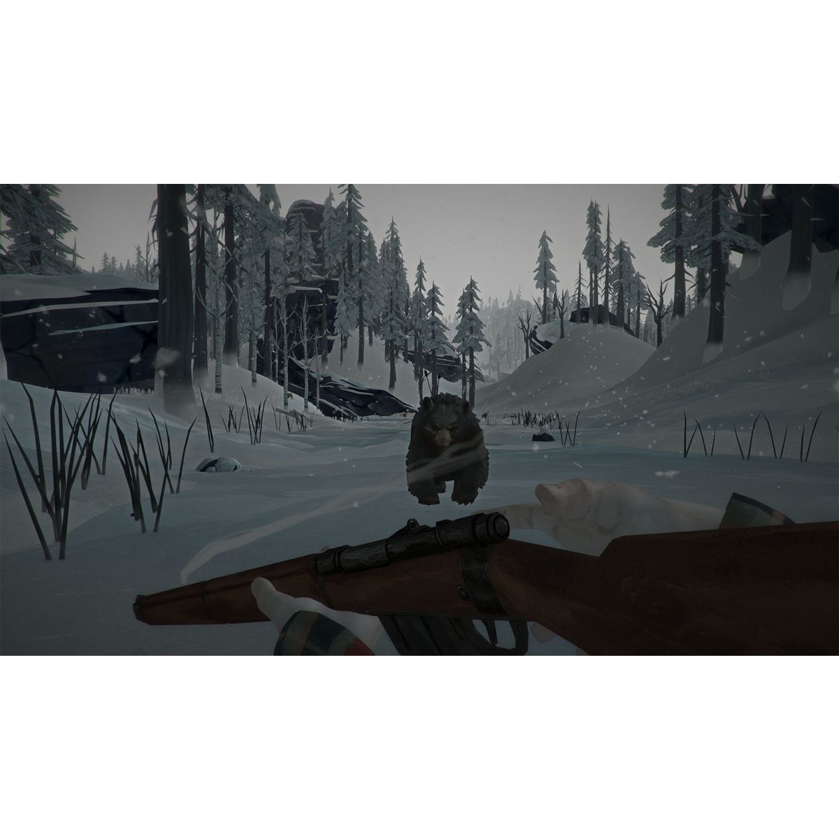 The Long Dark PS4