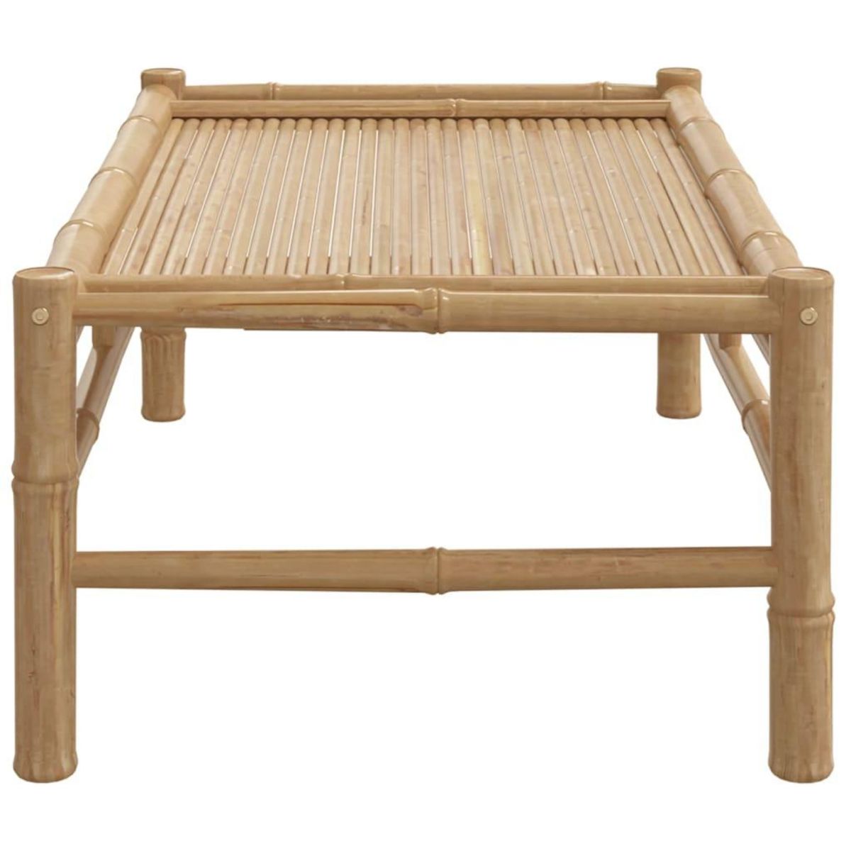 VIDAXL Table basse de jardin 100x55x33 cm bambou