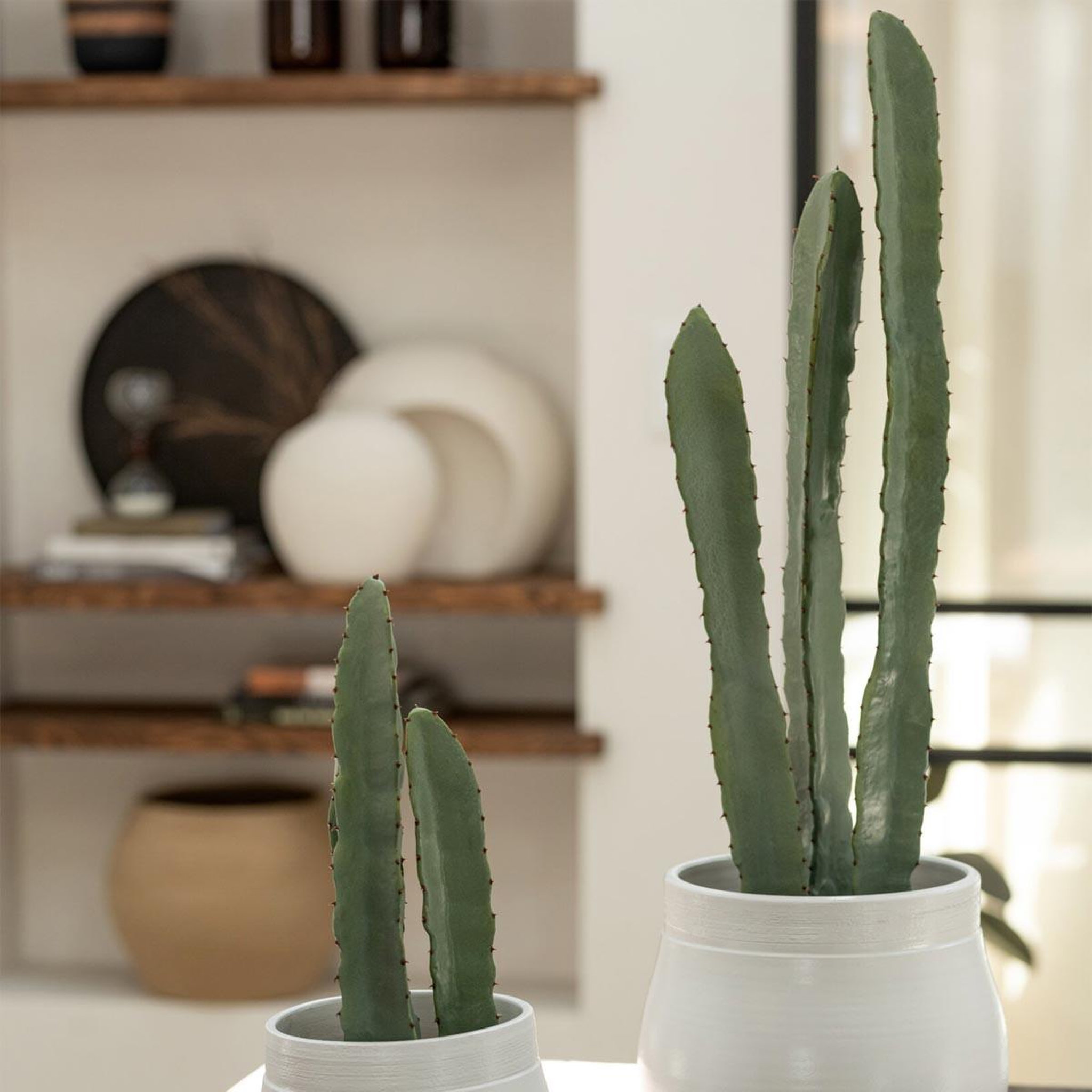 Voir la diapositive 3 : J-LINE Plante artificielle en pot  cactus  48cm vert