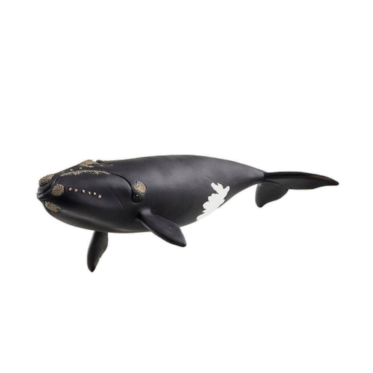 Schleich 14878 baleine de l'atlantique