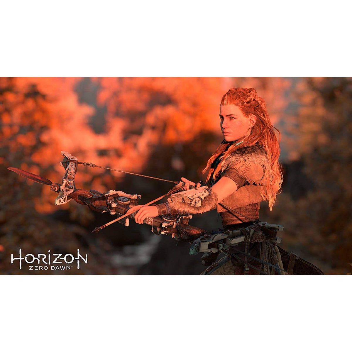SONY Horizon : Zero Dawn - Complete Edition Playstation Hits PS4