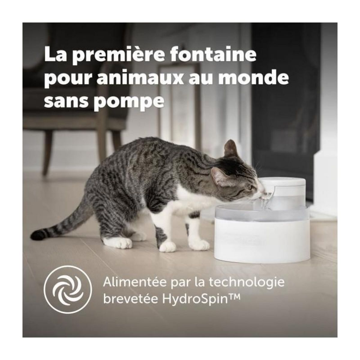 PETSAFE Fontaine a eau - PETSAFE - OUTLAST - 1,8 L - Blanc