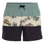 O'NEILL Maillot de bain Noir/Vert/ O'Neill Block. Coloris disponibles : Beige