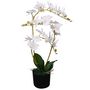 Voir la diapositive 1 : VIDAXL Plante artificielle avec pot Orchidee 65 cm Blanc