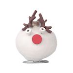 PLANT IN A BOX Amaryllis - Hippeastrum 'Spécial Cire Renne'