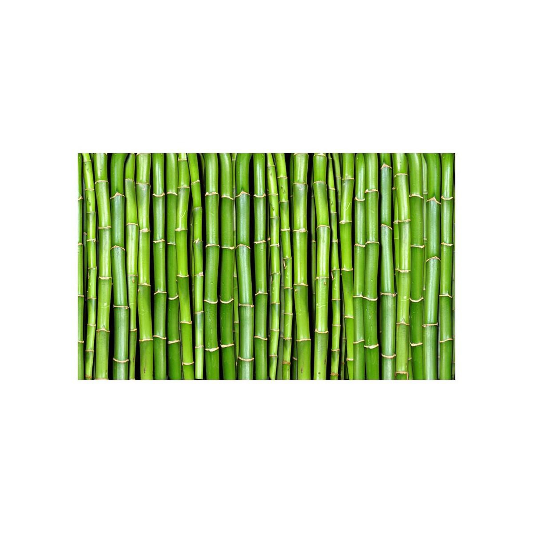 Voir la diapositive 2 : Paris Prix Papier peint  mur vert bambou ii  450x270cm