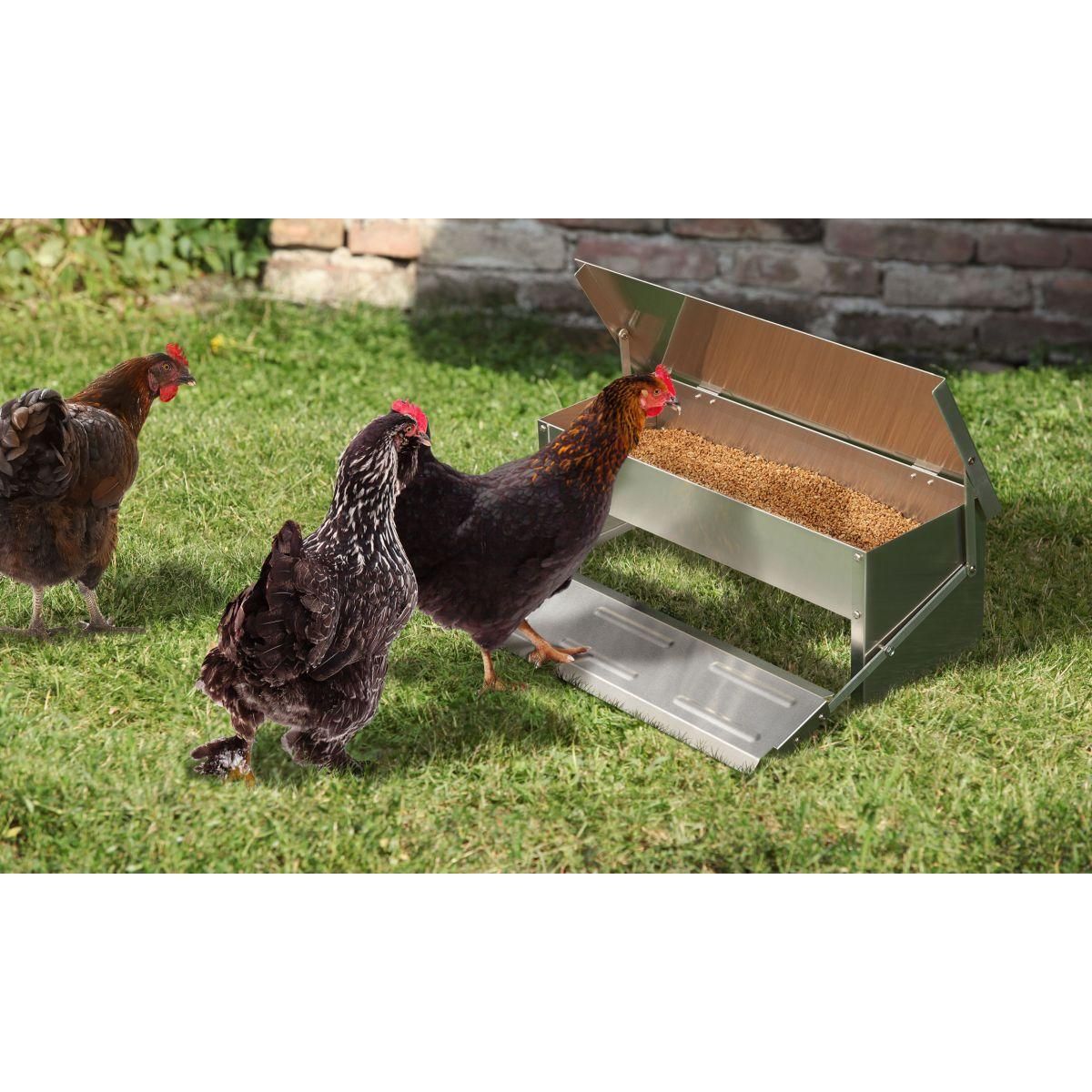 Jardikt Mangeoire à poules automatique 5 kg