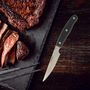 Voir la diapositive 2 : NIROSTA Couteau à steak 22 cm Nirosta Fit