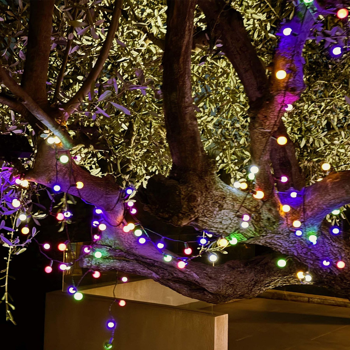 Lumisky Guirlande Solaire BILLY Multicolore  9,90M