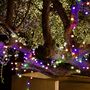 Voir la diapositive 2 : Lumisky Guirlande Solaire BILLY Multicolore  9,90M