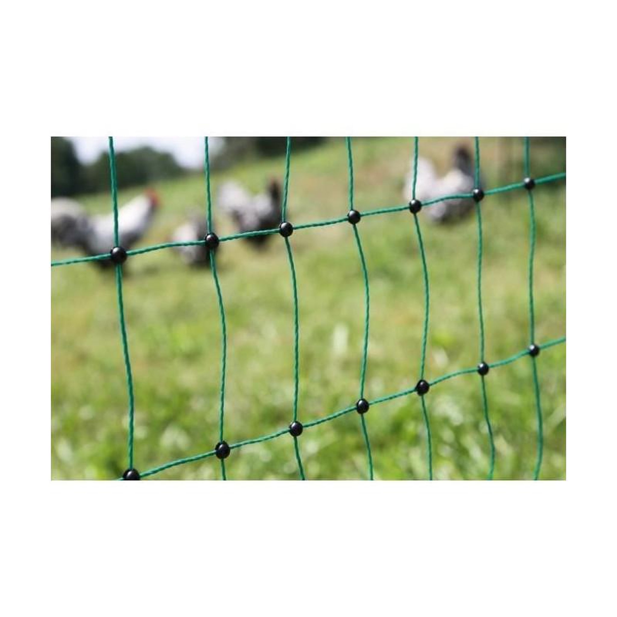 Voir la diapositive 4 : KERBL KERBL Filet pour les poules 50 m - 106 cm - double pointe - vert - non électrique