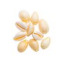 RICO DESIGN 10 Perles - Coquillages naturels - 2 perforations