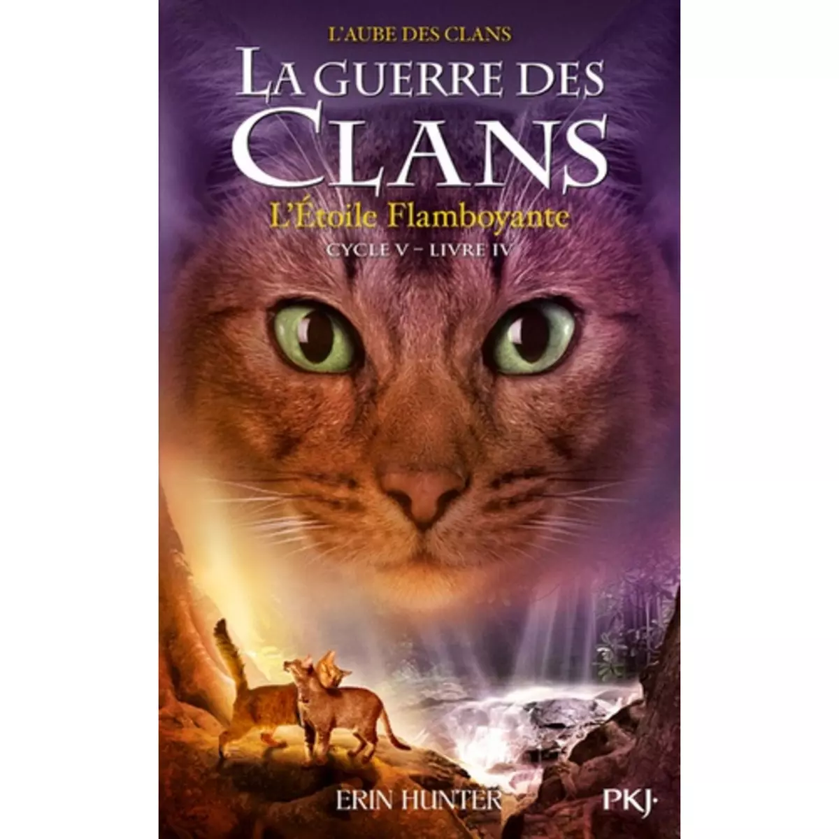  LA GUERRE DES CLANS : L'AUBE DES CLANS (CYCLE V) TOME 4 : L'ETOILE FLAMBOYANTE, Hunter Erin