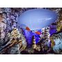 Voir la diapositive 4 : Smartbox Vol magique en aéroplume de 20 min dans la grotte de la Salamandre près d'Alès - Coffret Cadeau Sport & Aventure