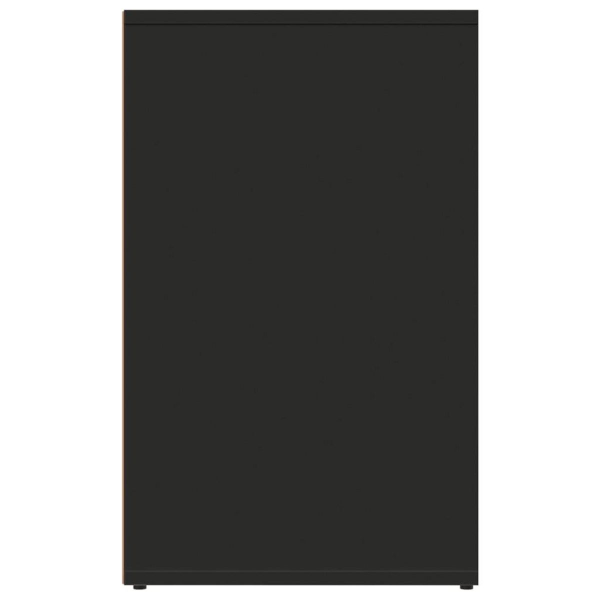 VIDAXL Armoire de dressing noir 80x40x65 cm bois d'ingenierie