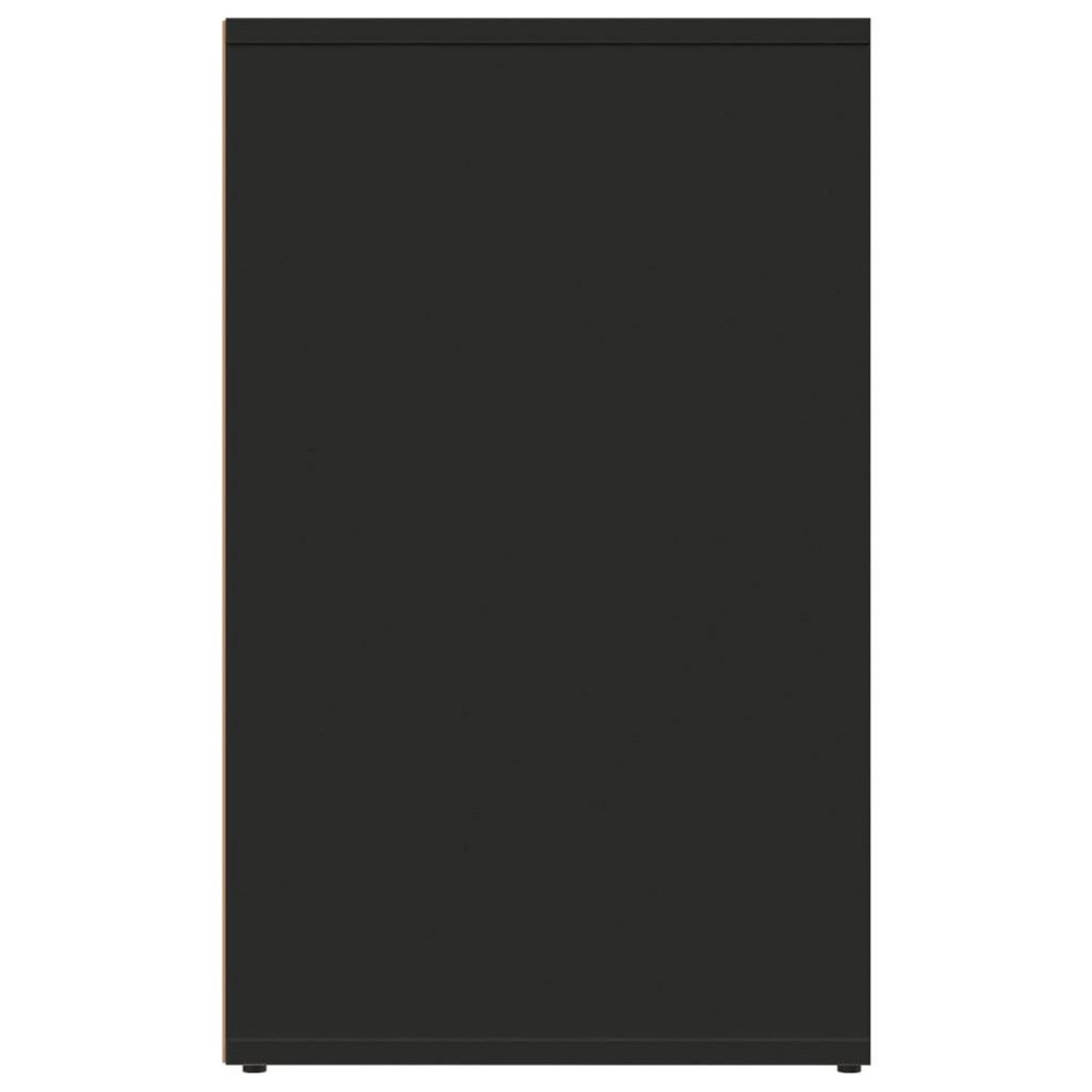 VIDAXL Armoire de dressing noir 80x40x65 cm bois d'ingenierie