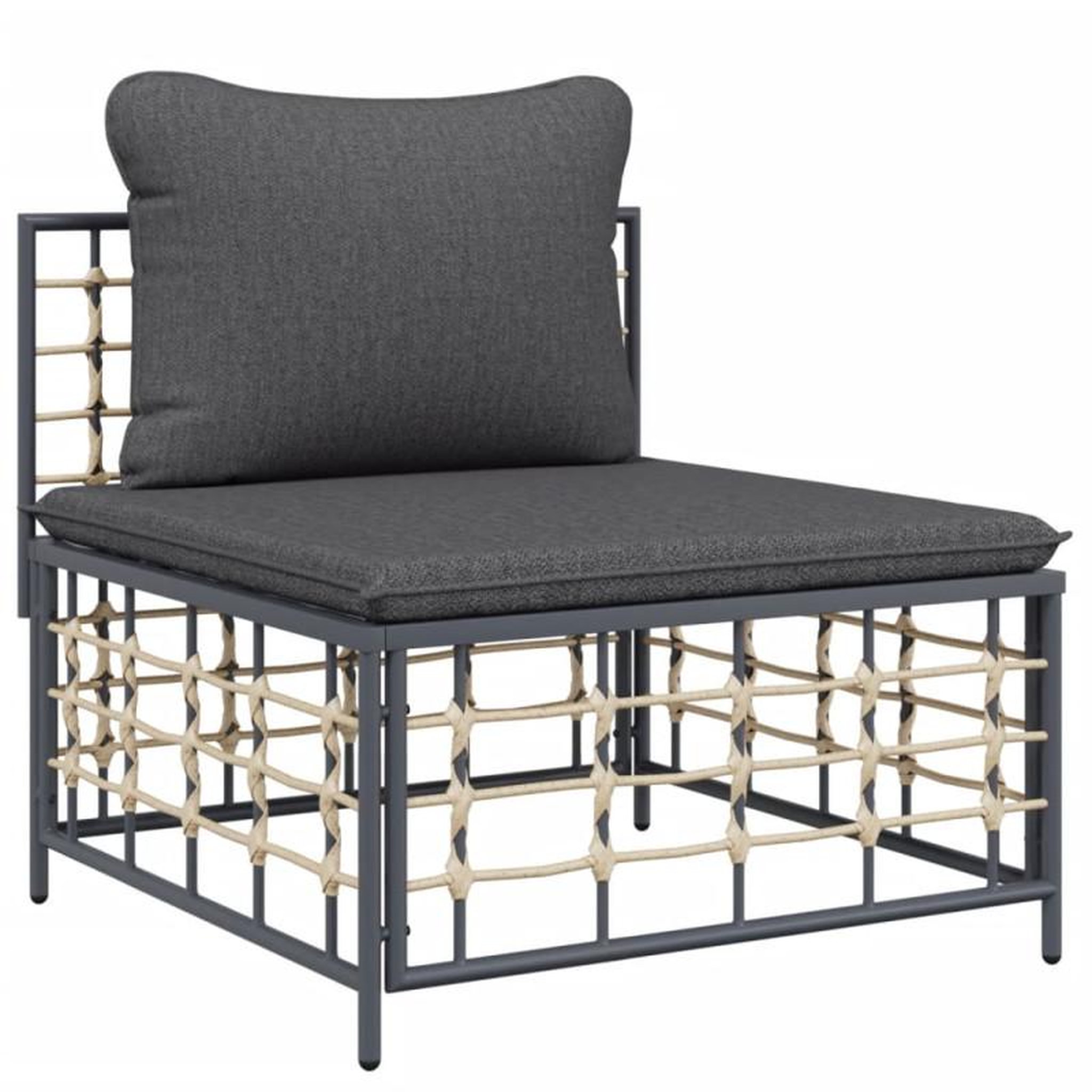 Voir la diapositive 2 : VIDAXL Canapé central de jardin avec coussin gris foncé résine tressée