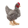 Voir la diapositive 1 : Schleich 13997 figurine Poule Plymouth Rock