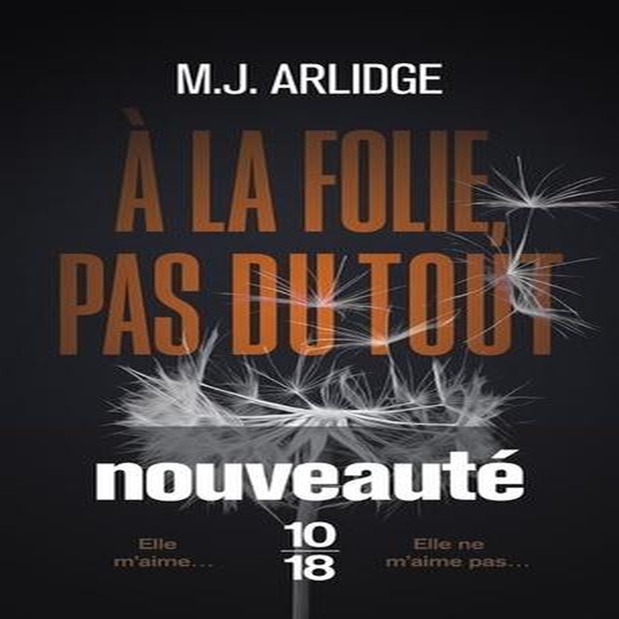 A LA FOLIE, PAS DU TOUT, Arlidge M. J.