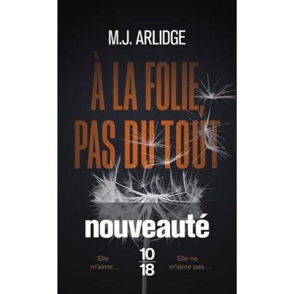A LA FOLIE, PAS DU TOUT, Arlidge M. J.