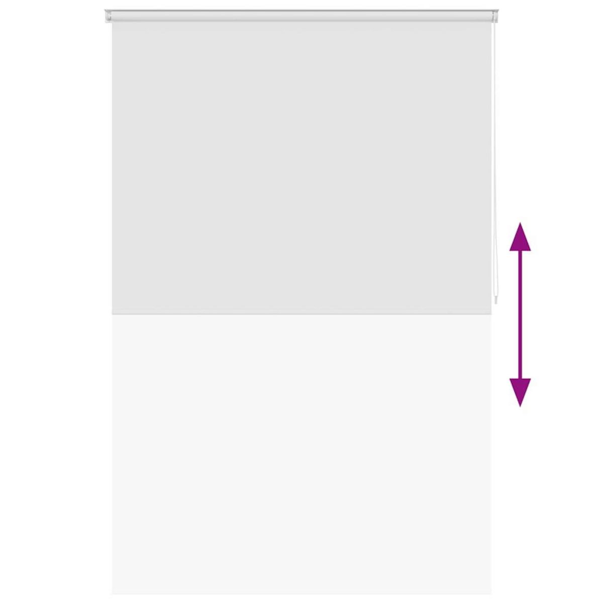 VIDAXL Store roulant de douche 160x240 cm Blanc