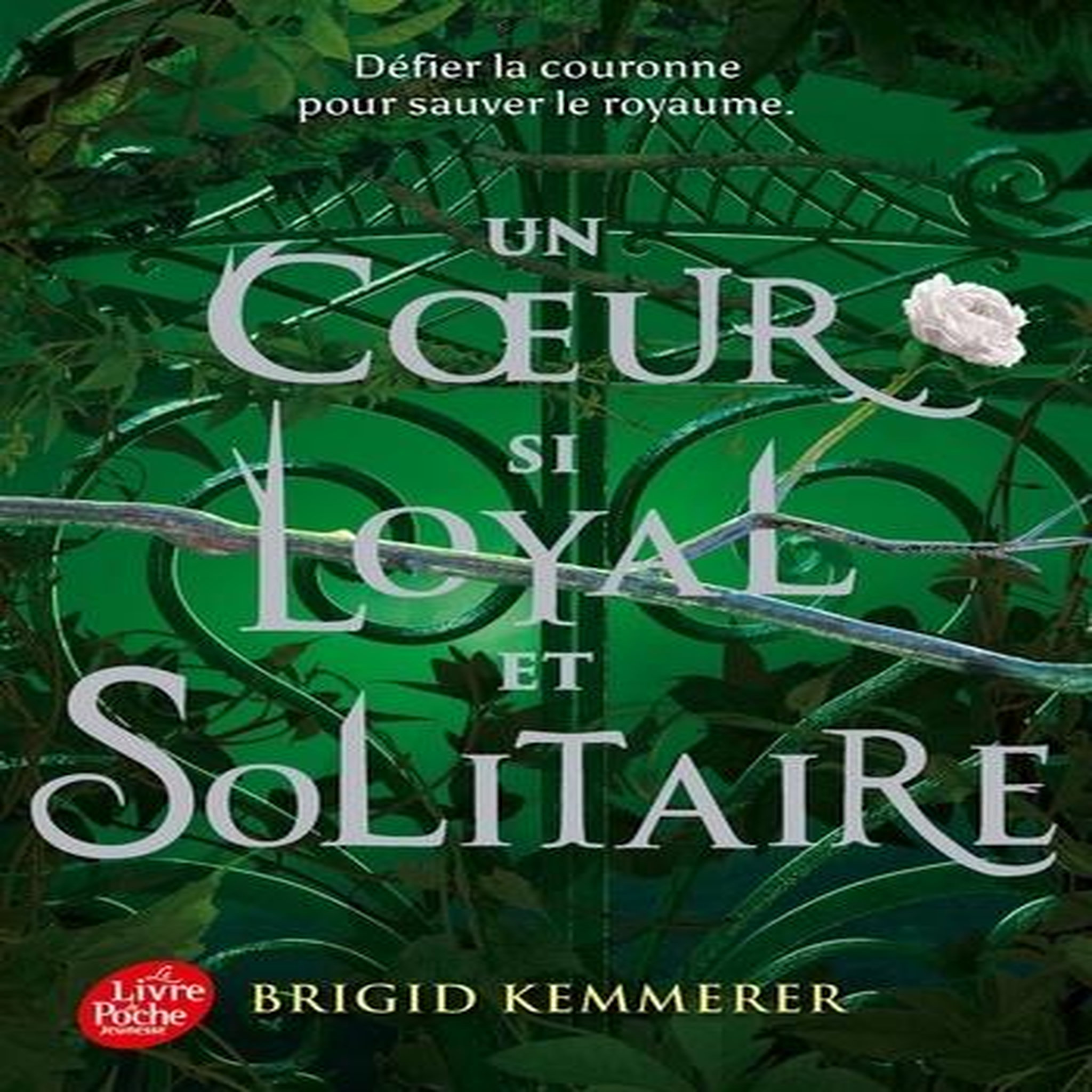 UN SORT SI NOIR ET ETERNEL TOME 2 : UN COEUR SI LOYAL ET SOLITAIRE, Kemmerer Brigid