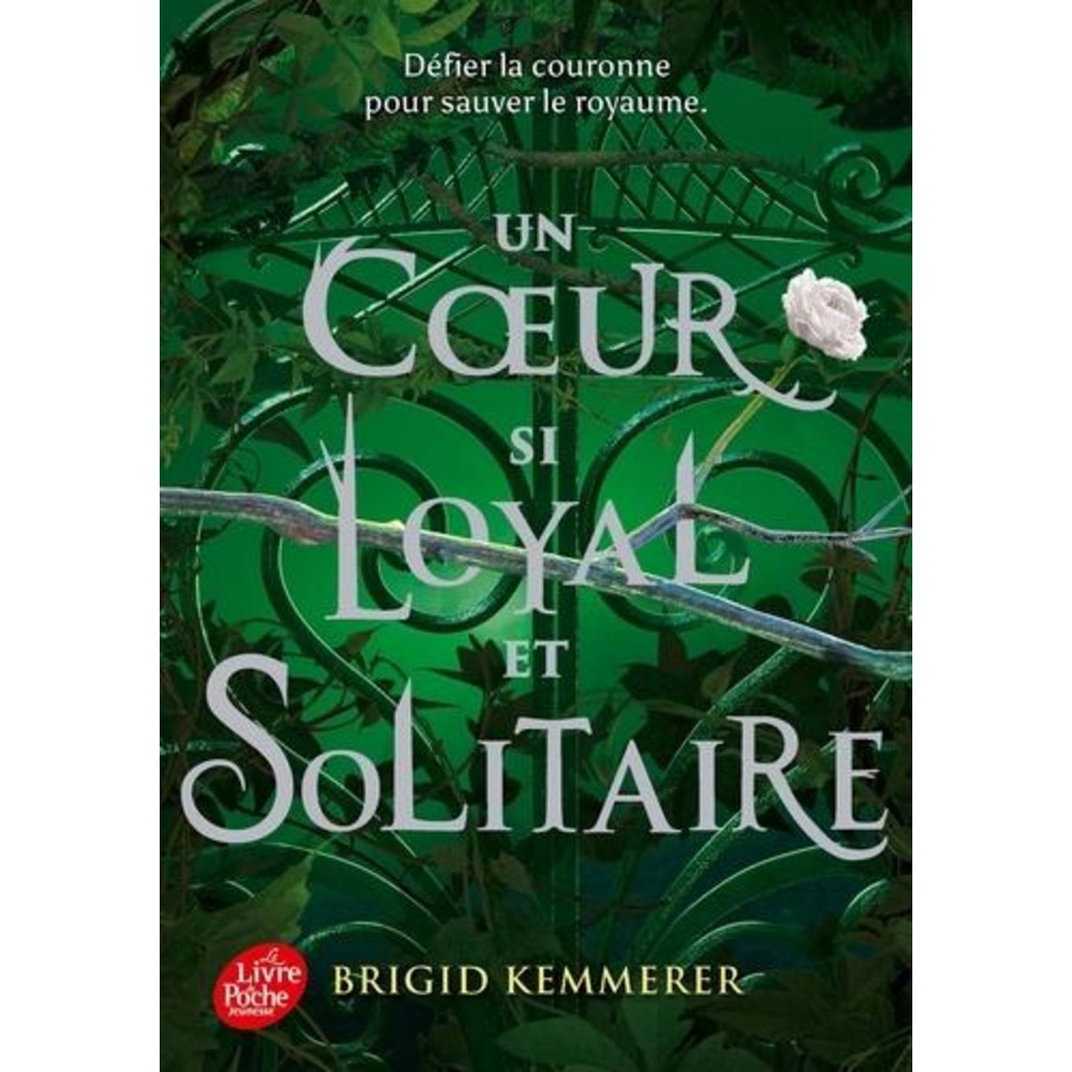 UN SORT SI NOIR ET ETERNEL TOME 2 : UN COEUR SI LOYAL ET SOLITAIRE, Kemmerer Brigid