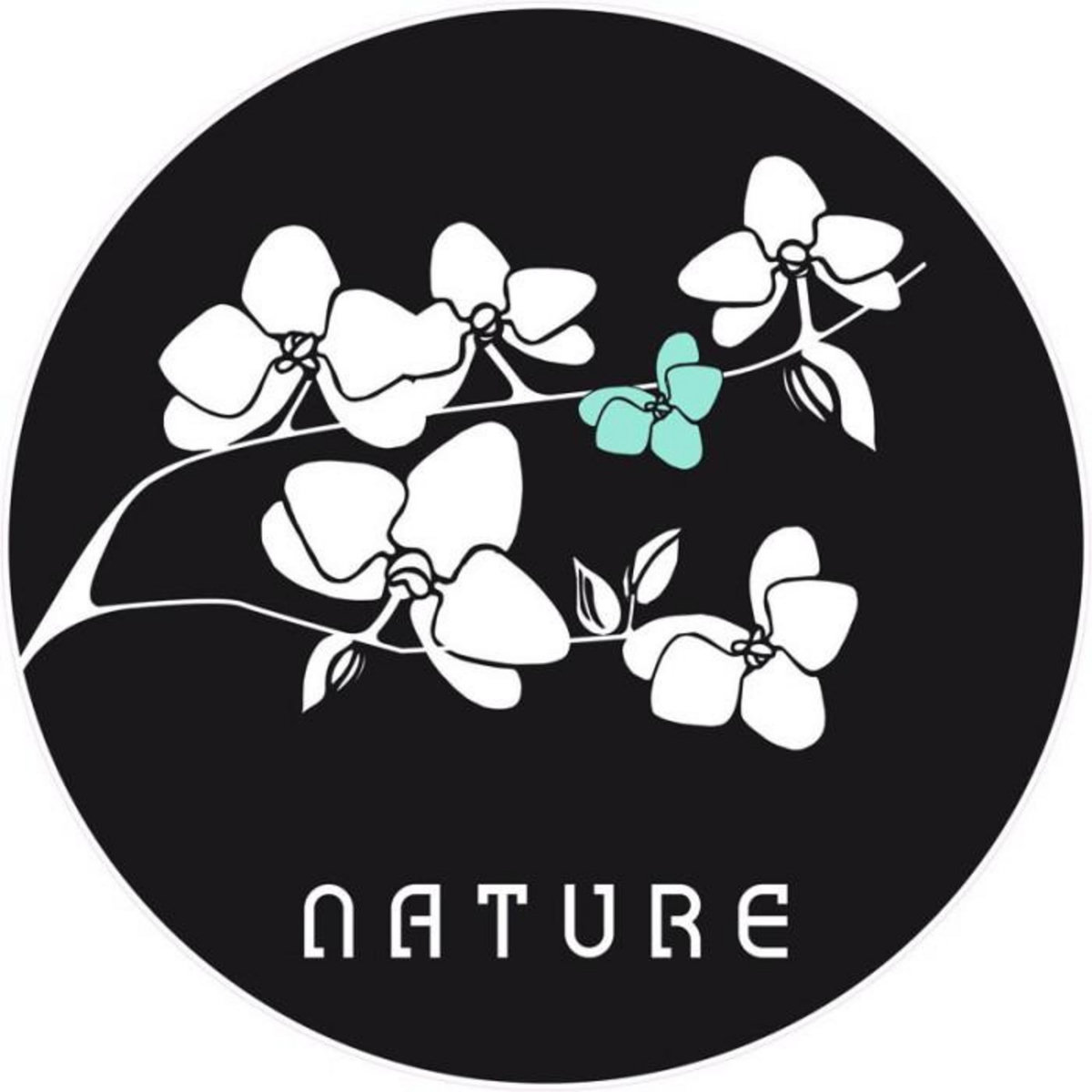 ATMOSPHERA Sticker Zen  Nature  Noir