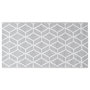 Voir la diapositive 3 : VIDAXL Tapis d'exterieur ARAKIL Gris 80x150 cm PP