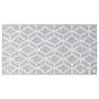 Voir la diapositive 3 : VIDAXL Tapis d'exterieur ARAKIL Gris 80x150 cm PP